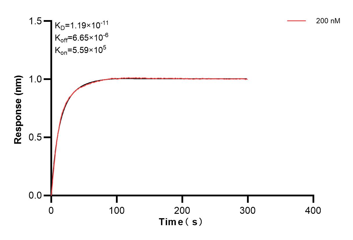 Affinity and Kinetic Characterization of 83120-4-PBS