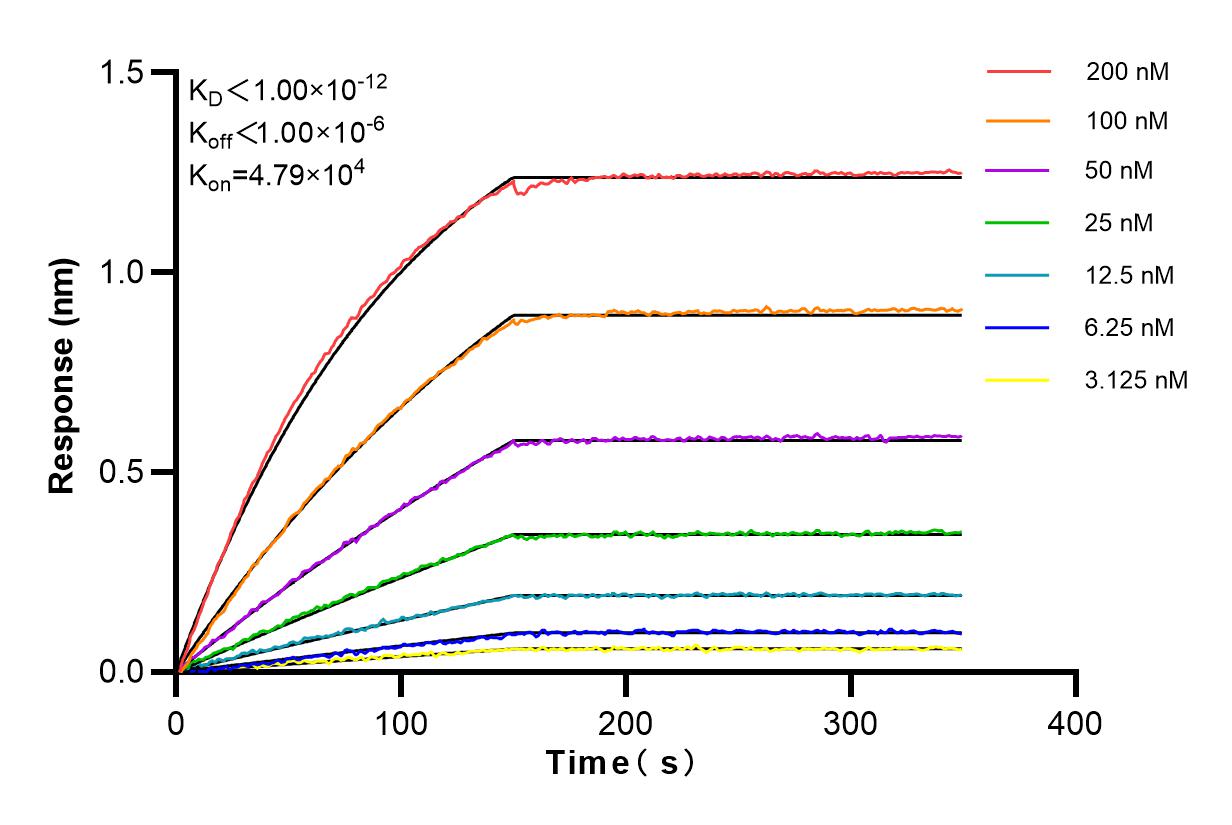 Affinity and Kinetic Characterization of 83121-4-PBS