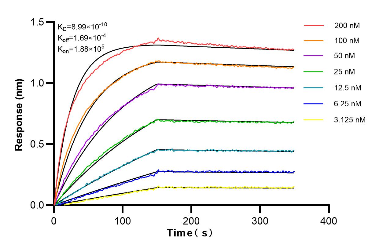 Affinity and Kinetic Characterization of 83131-8-RR