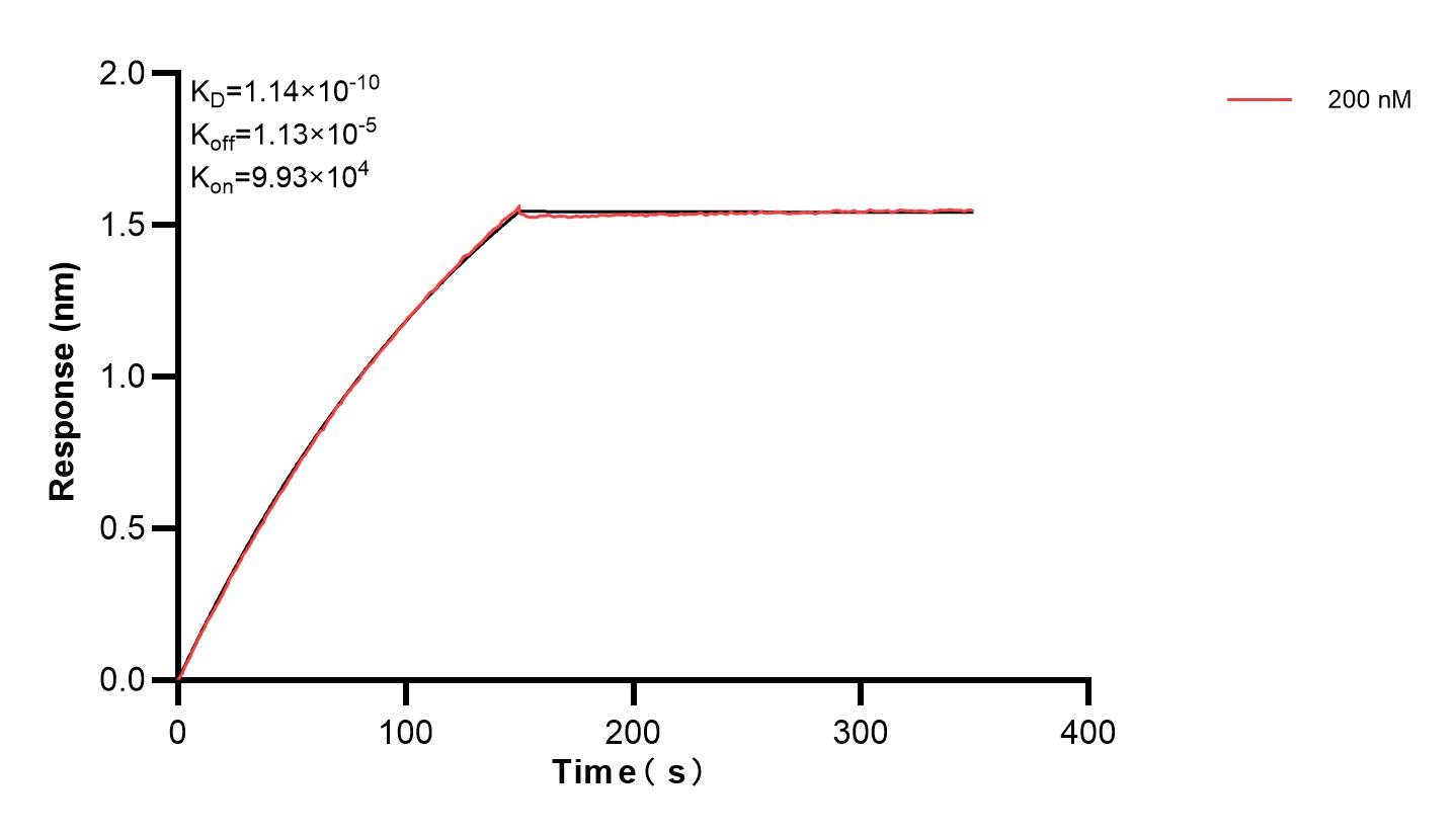 Affinity and Kinetic Characterization of 83135-1-PBS