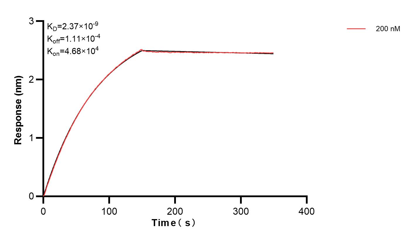 Affinity and Kinetic Characterization of 83135-2-PBS