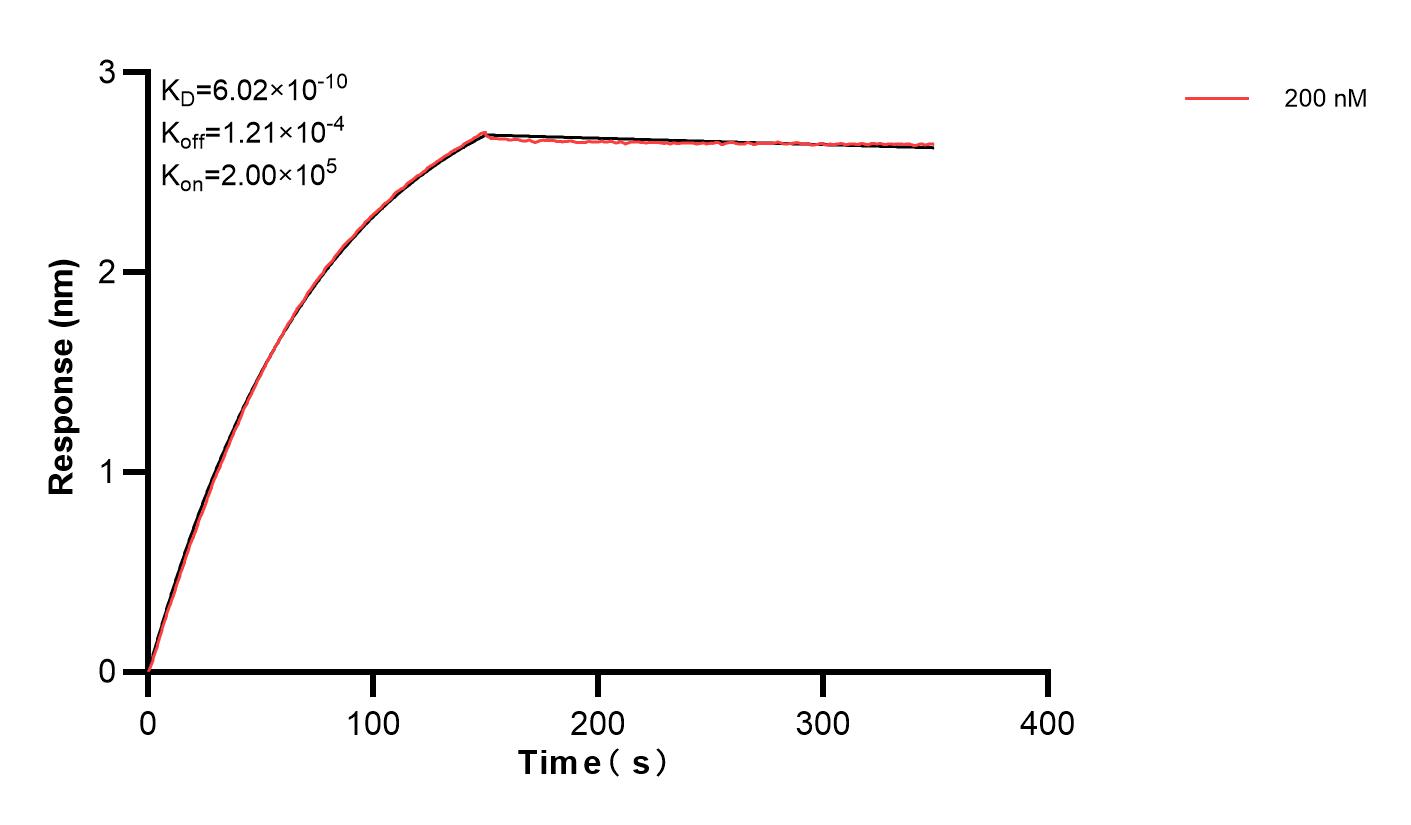 Affinity and Kinetic Characterization of 83135-3-PBS