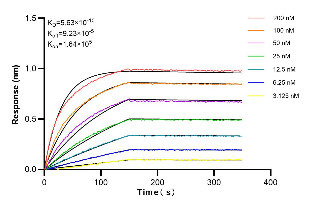 Affinity and Kinetic Characterization of 83141-5-RR