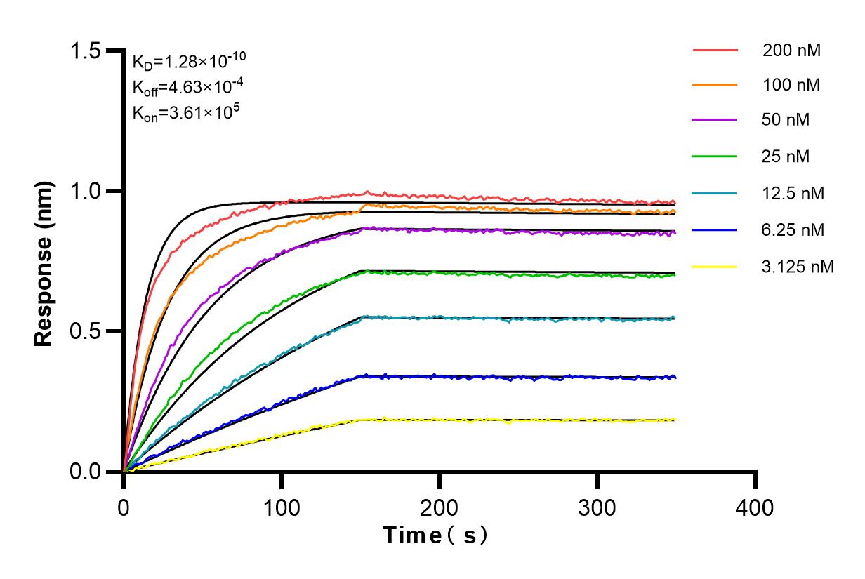 Affinity and Kinetic Characterization of 83152-5-RR