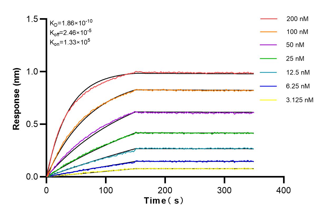 Affinity and Kinetic Characterization of 83155-4-RR