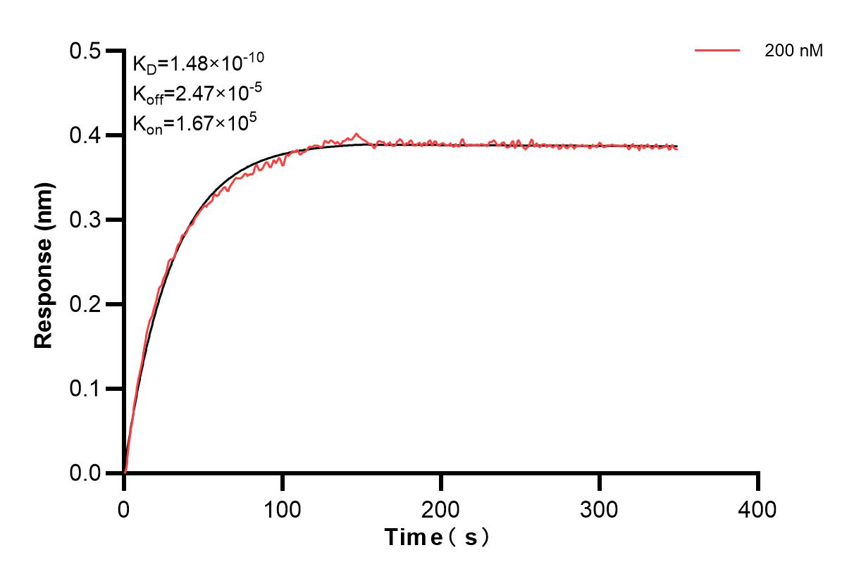 Affinity and Kinetic Characterization of 83157-3-PBS