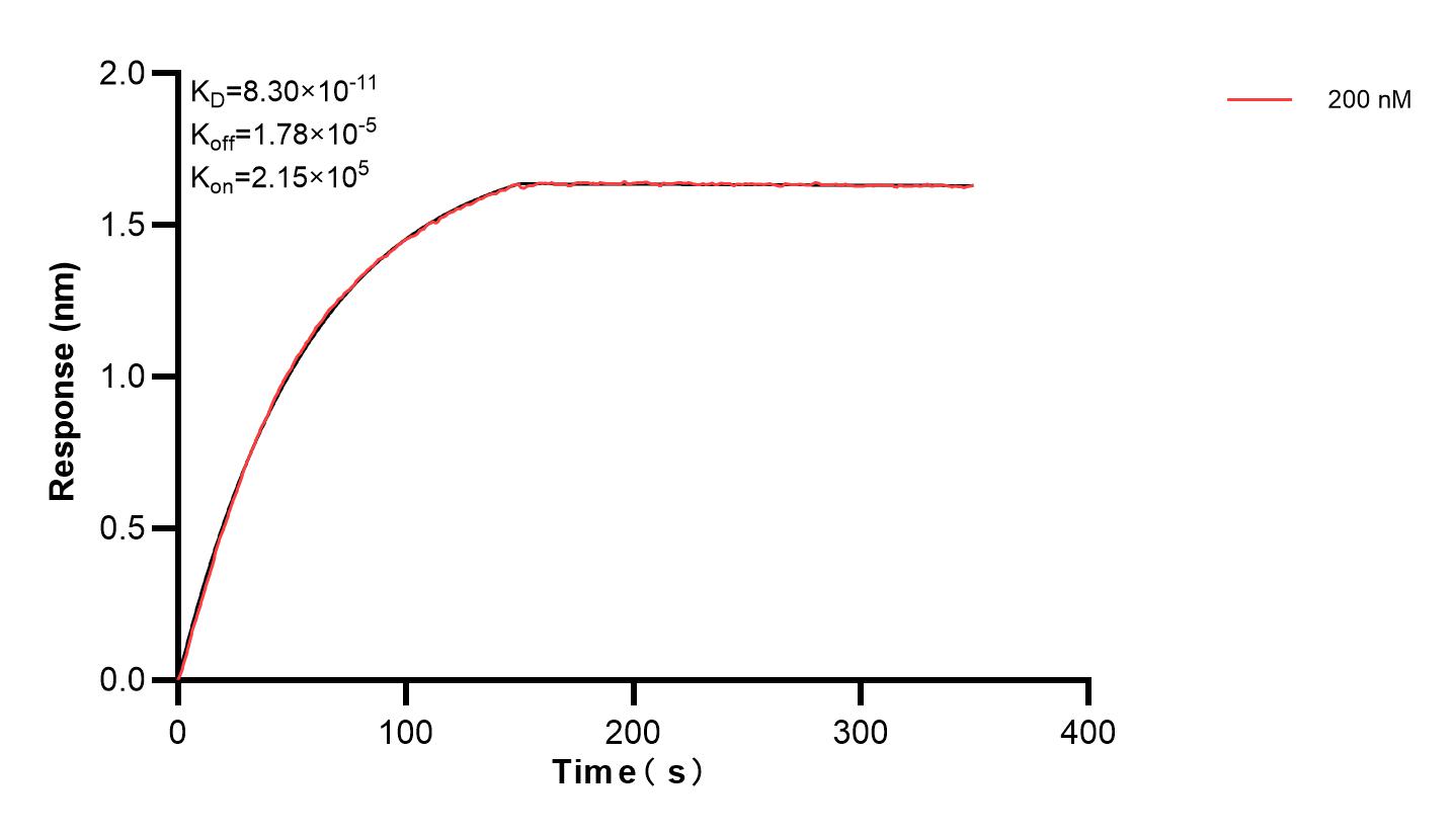 Affinity and Kinetic Characterization of 83160-1-PBS