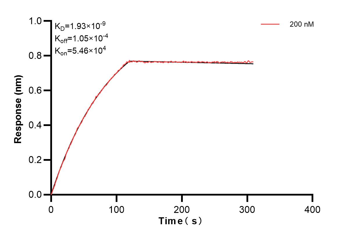 Affinity and Kinetic Characterization of 83160-2-PBS