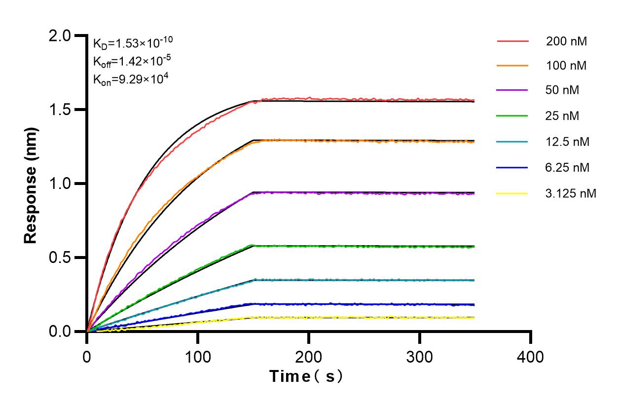 Affinity and Kinetic Characterization of 83161-5-PBS