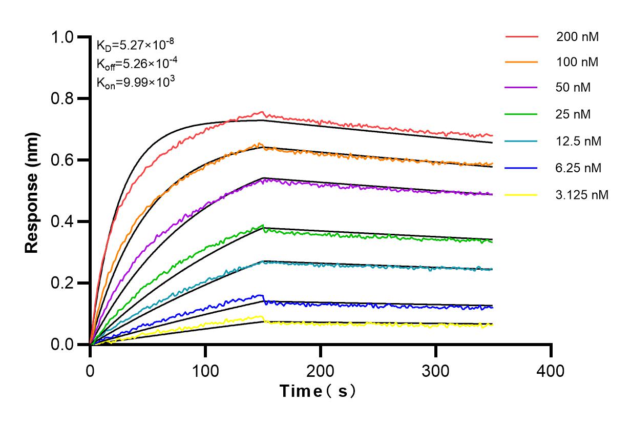 Affinity and Kinetic Characterization of 83162-7-RR