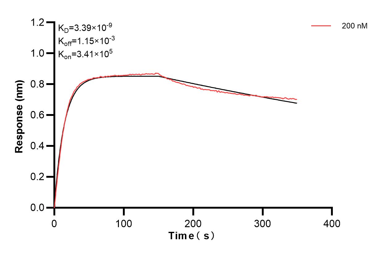 Affinity and Kinetic Characterization of 83166-1-PBS