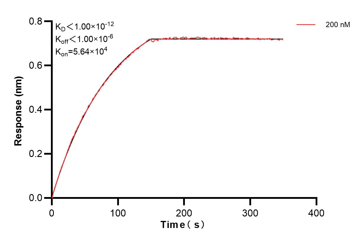 Affinity and Kinetic Characterization of 83166-3-PBS