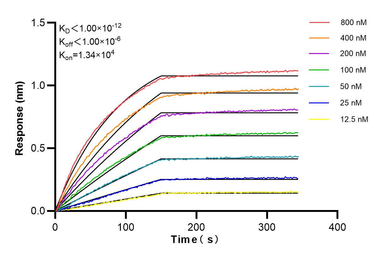 Affinity and Kinetic Characterization of 83170-1-PBS