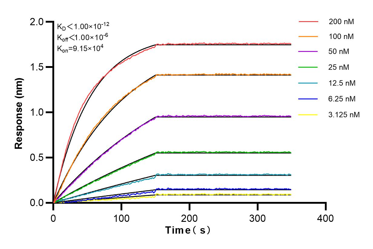 Affinity and Kinetic Characterization of 83172-2-RR