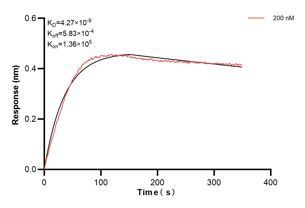 Affinity and Kinetic Characterization of 83179-1-PBS