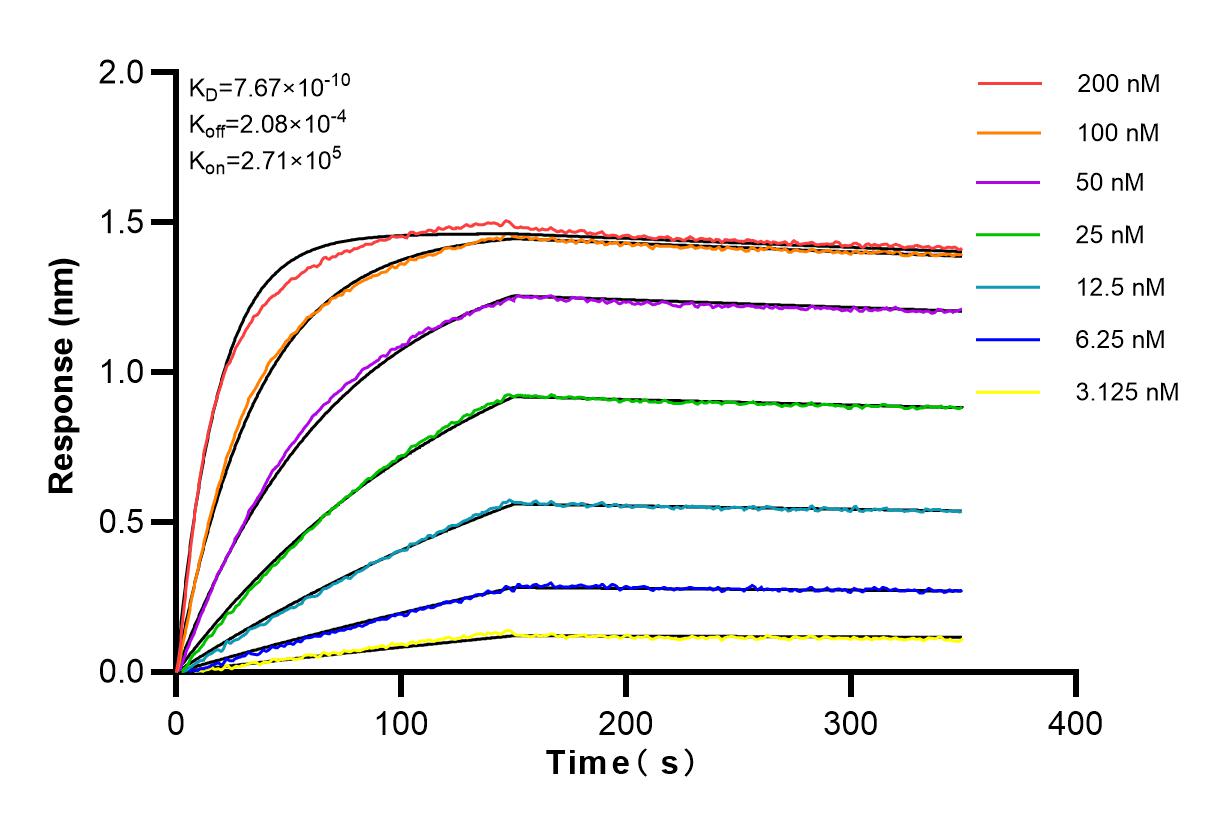 Affinity and Kinetic Characterization of 83183-4-RR