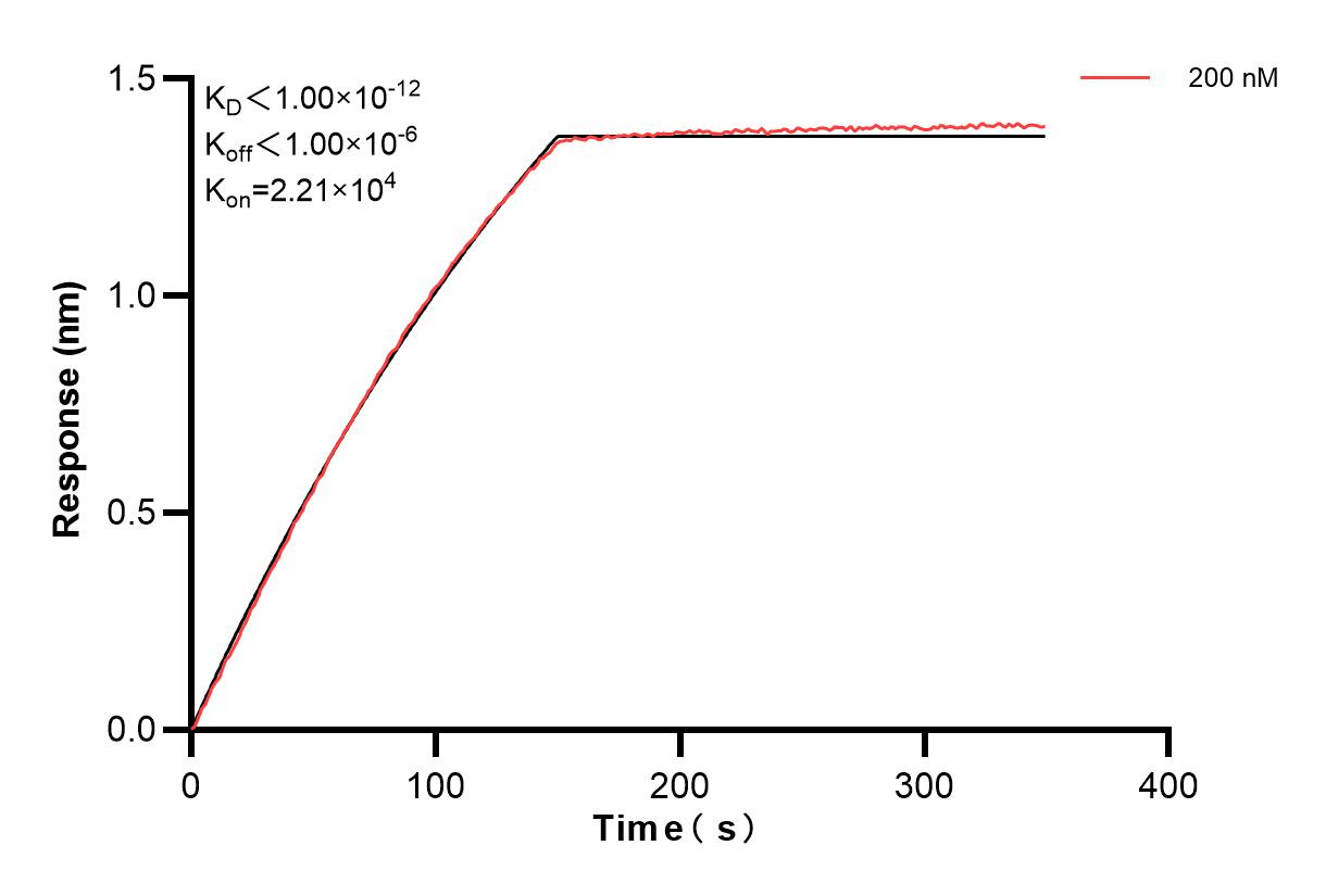 Affinity and Kinetic Characterization of 83188-3-PBS