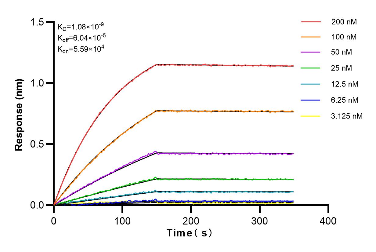 Affinity and Kinetic Characterization of 83192-1-RR