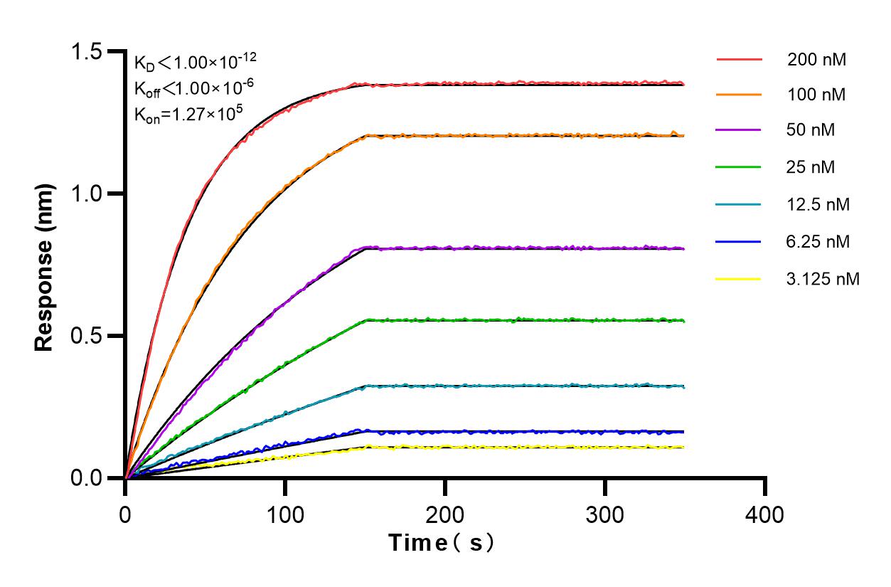 Affinity and Kinetic Characterization of 83195-5-RR