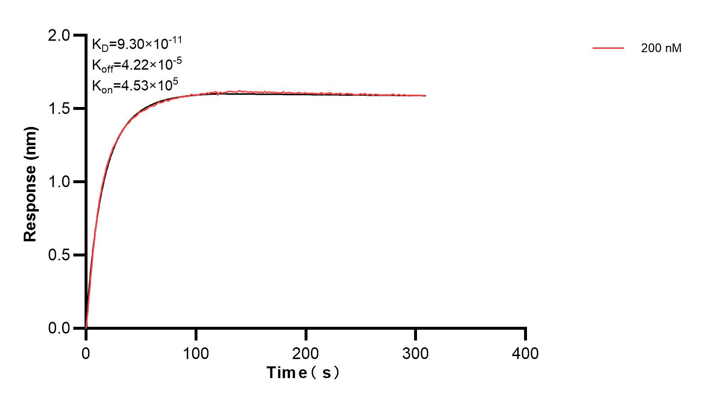 Affinity and Kinetic Characterization of 83205-1-PBS