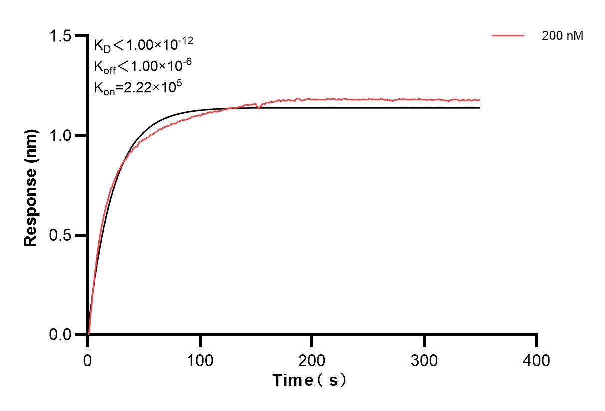 Affinity and Kinetic Characterization of 83205-2-PBS