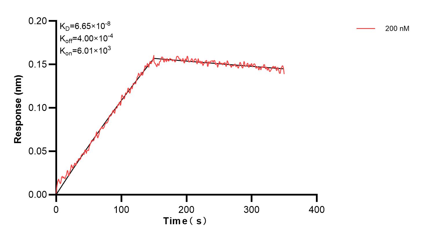 Affinity and Kinetic Characterization of 83206-2-PBS