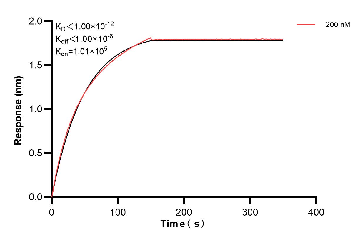 Affinity and Kinetic Characterization of 83212-1-PBS