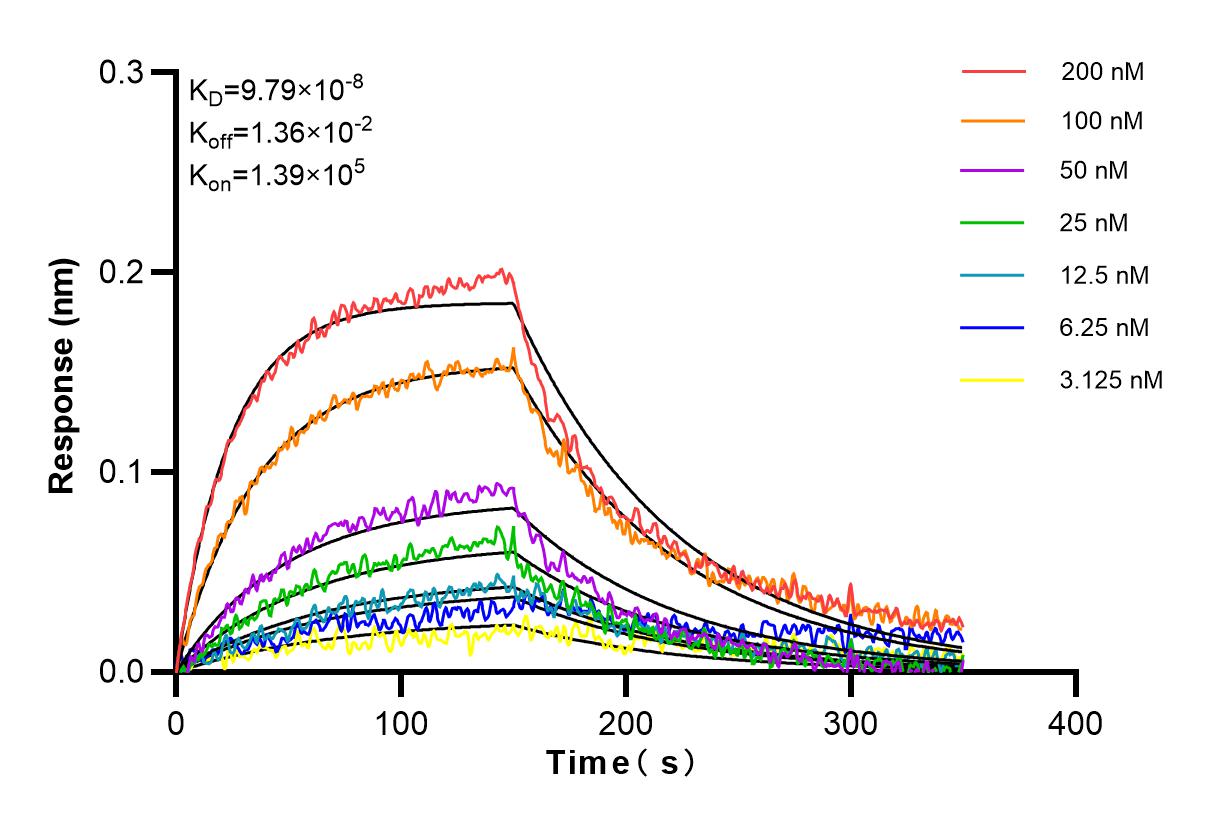 Affinity and Kinetic Characterization of 83213-5-RR