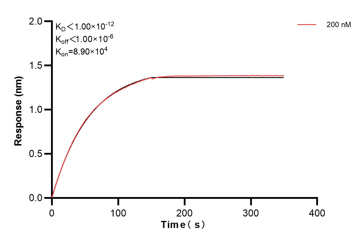 Affinity and Kinetic Characterization of 83216-2-PBS