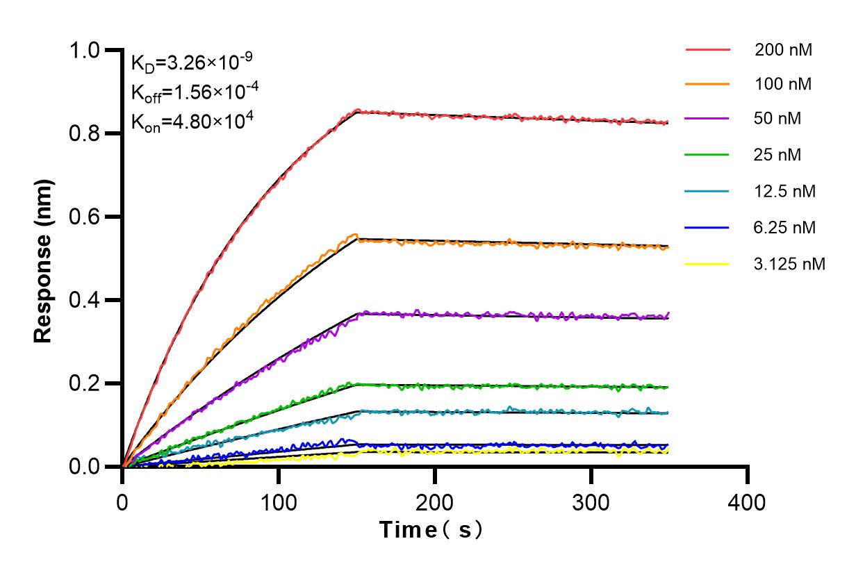 Affinity and Kinetic Characterization of 83216-3-RR