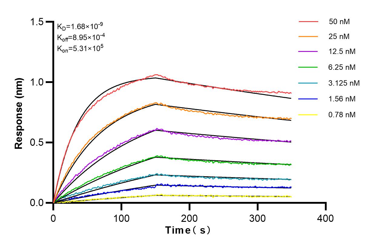 Affinity and Kinetic Characterization of 83220-4-PBS