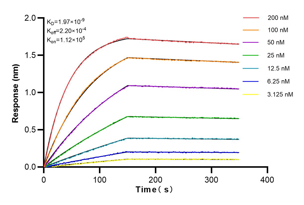 Affinity and Kinetic Characterization of 83220-6-RR