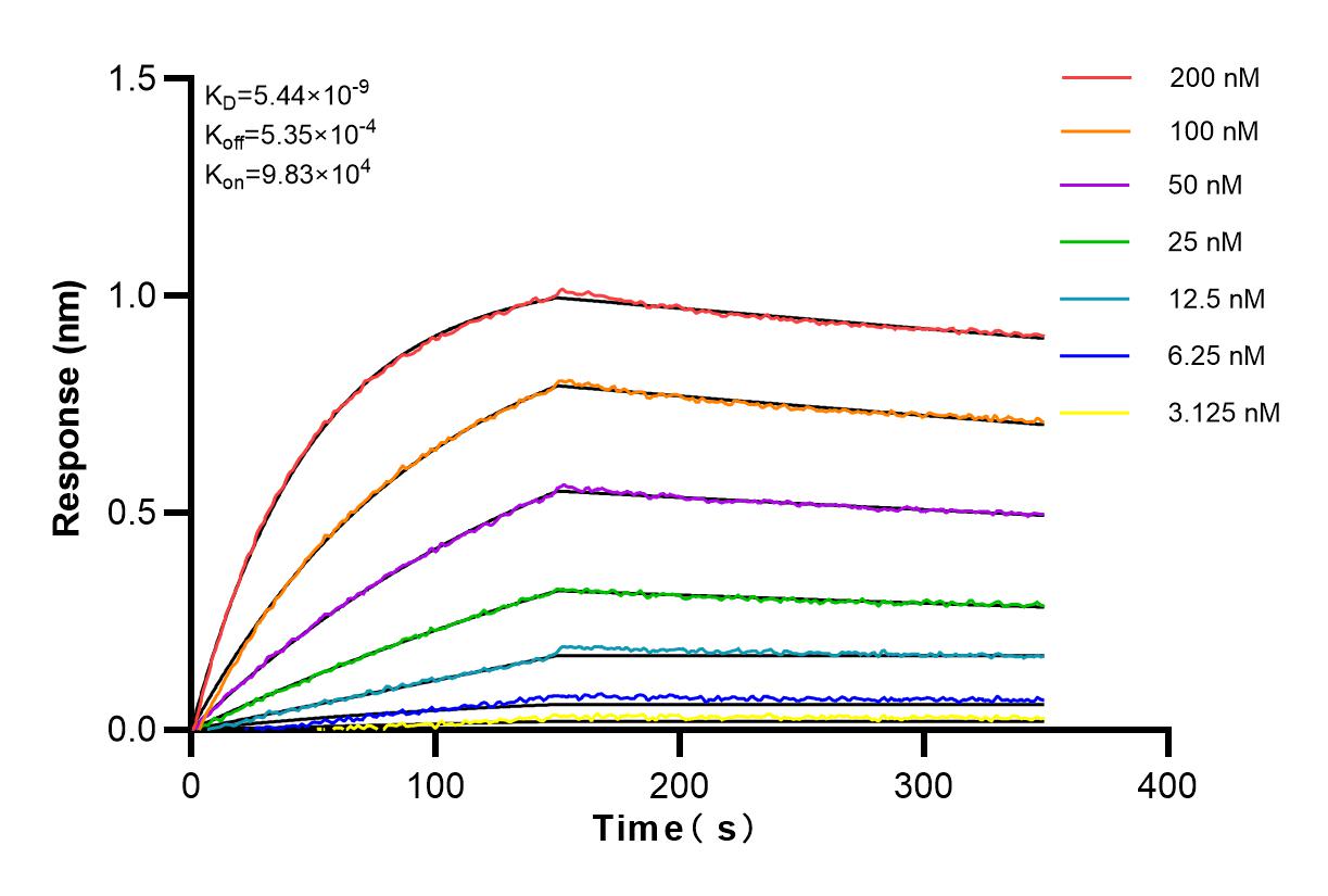 Affinity and Kinetic Characterization of 83230-3-RR