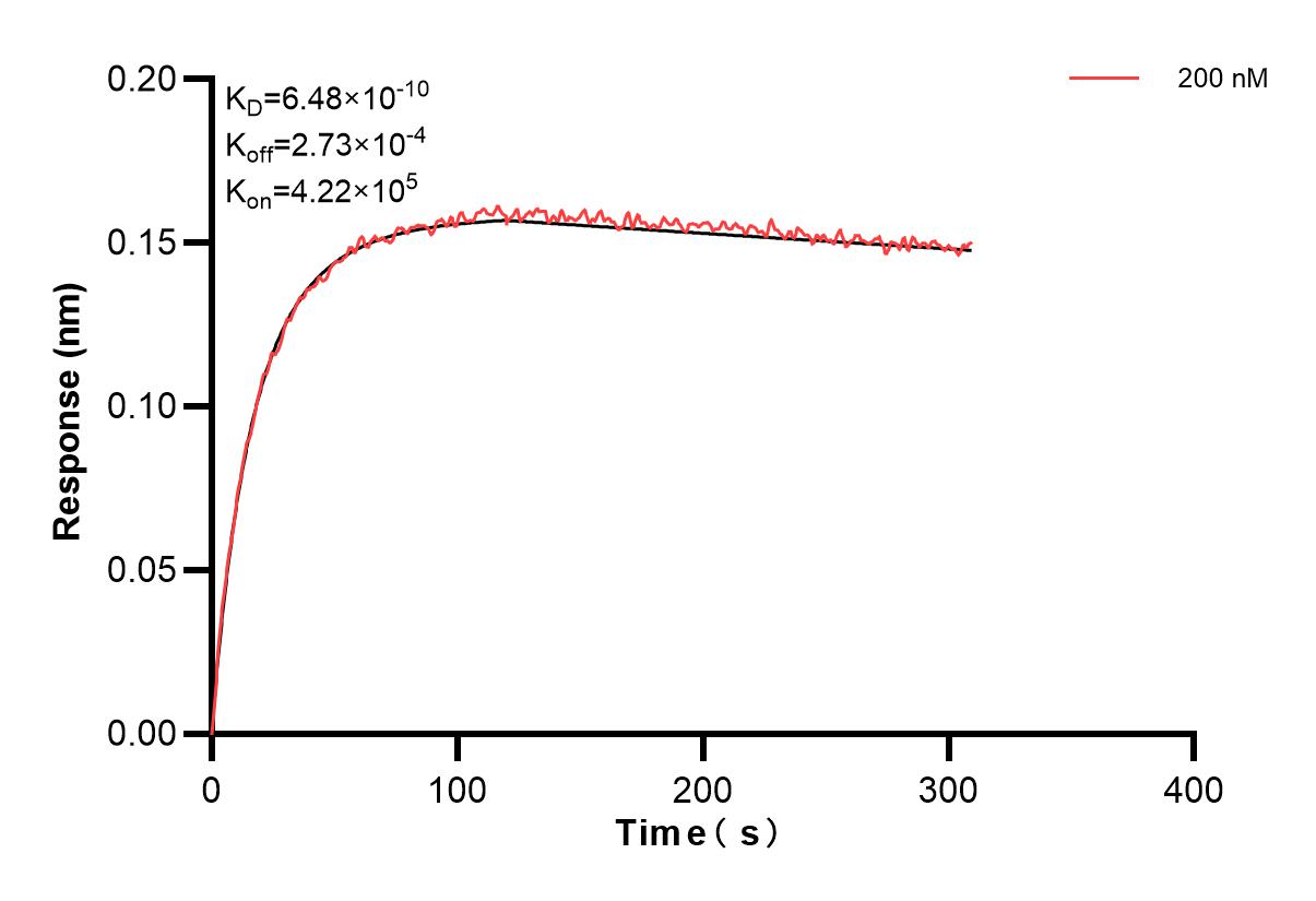 Affinity and Kinetic Characterization of 83248-1-PBS