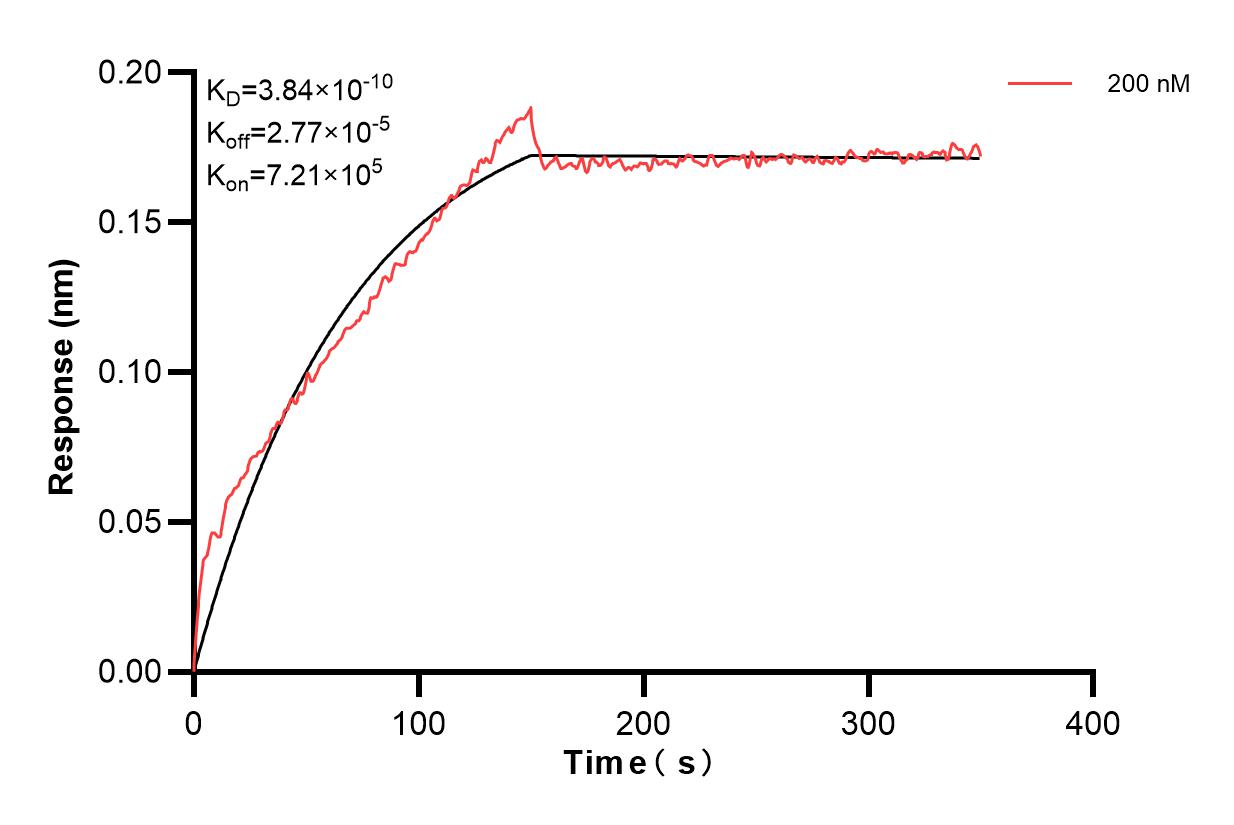 Affinity and Kinetic Characterization of 83249-1-PBS