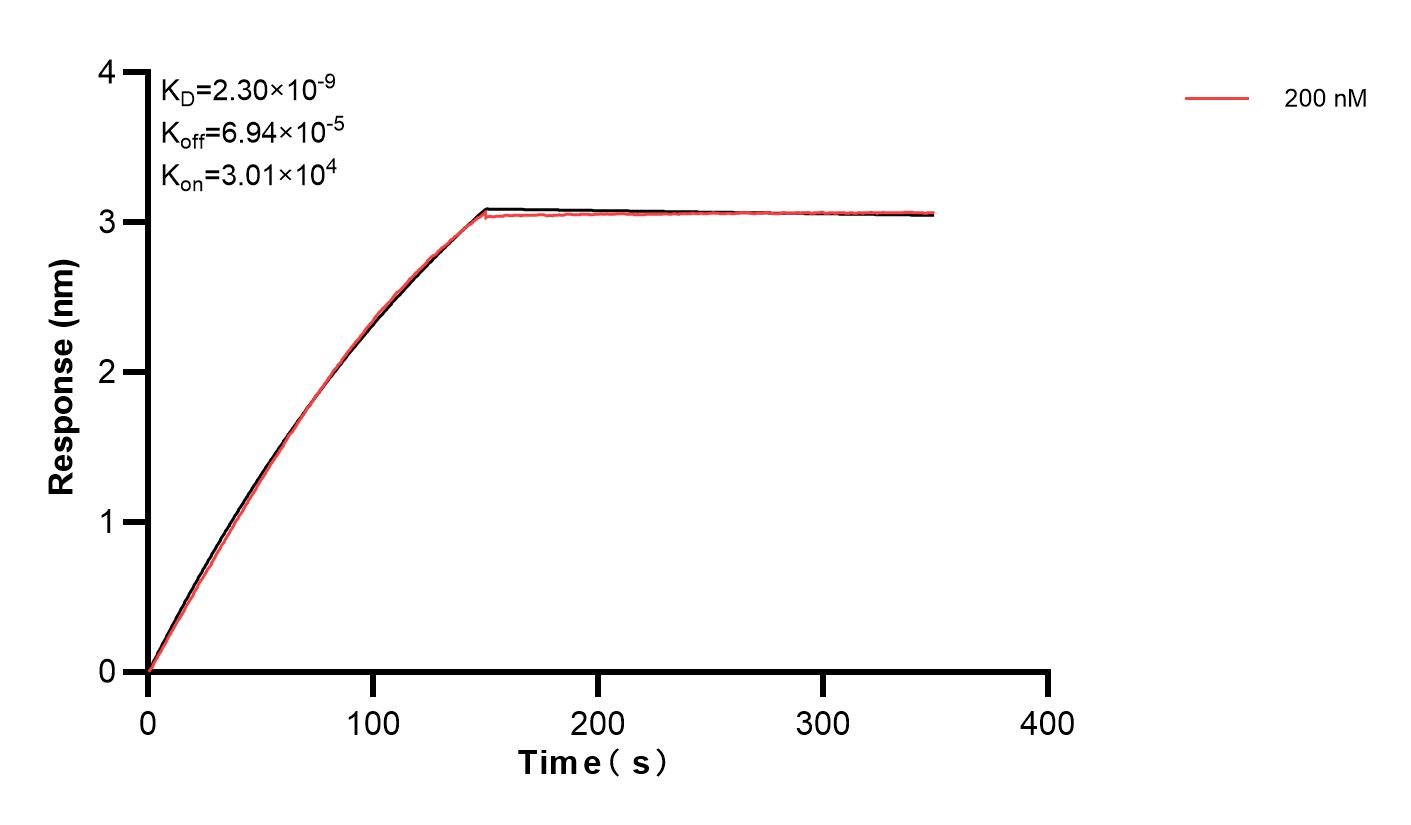 Affinity and Kinetic Characterization of 83250-1-PBS