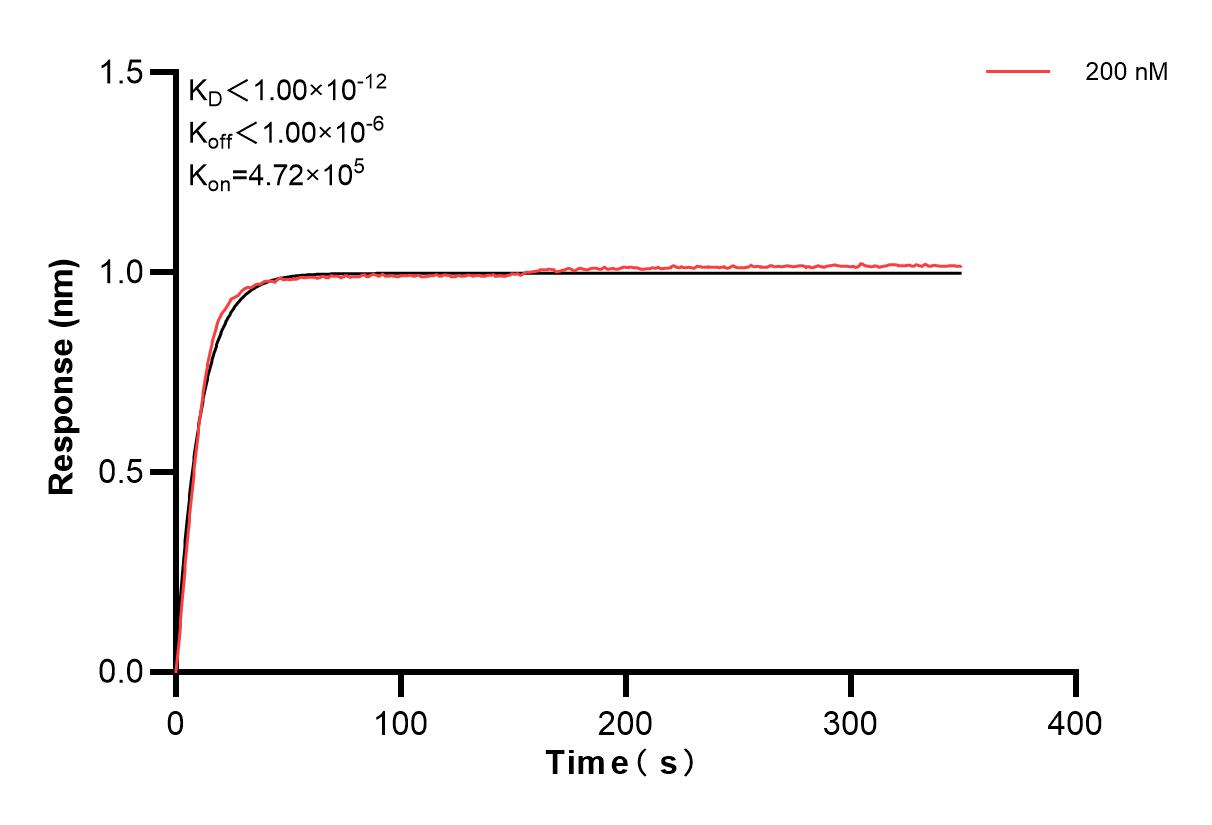 Affinity and Kinetic Characterization of 83258-1-PBS