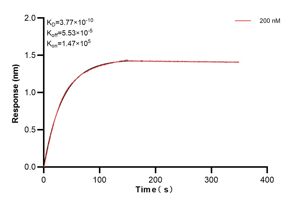 Affinity and Kinetic Characterization of 83258-2-PBS