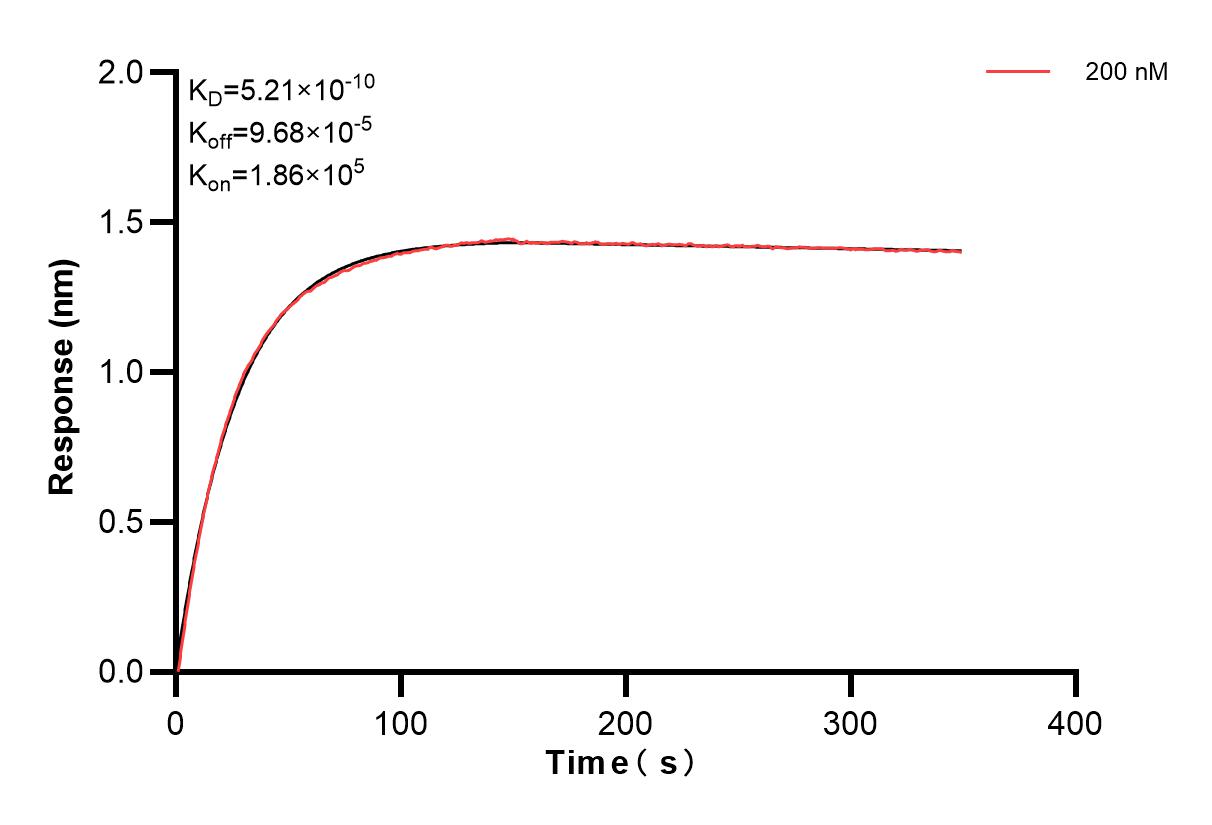 Affinity and Kinetic Characterization of 83258-5-PBS