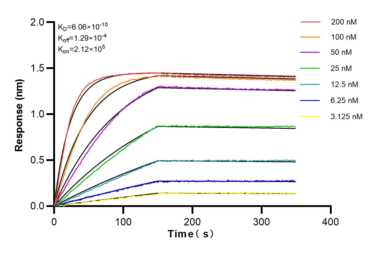 Affinity and Kinetic Characterization of 83258-6-PBS