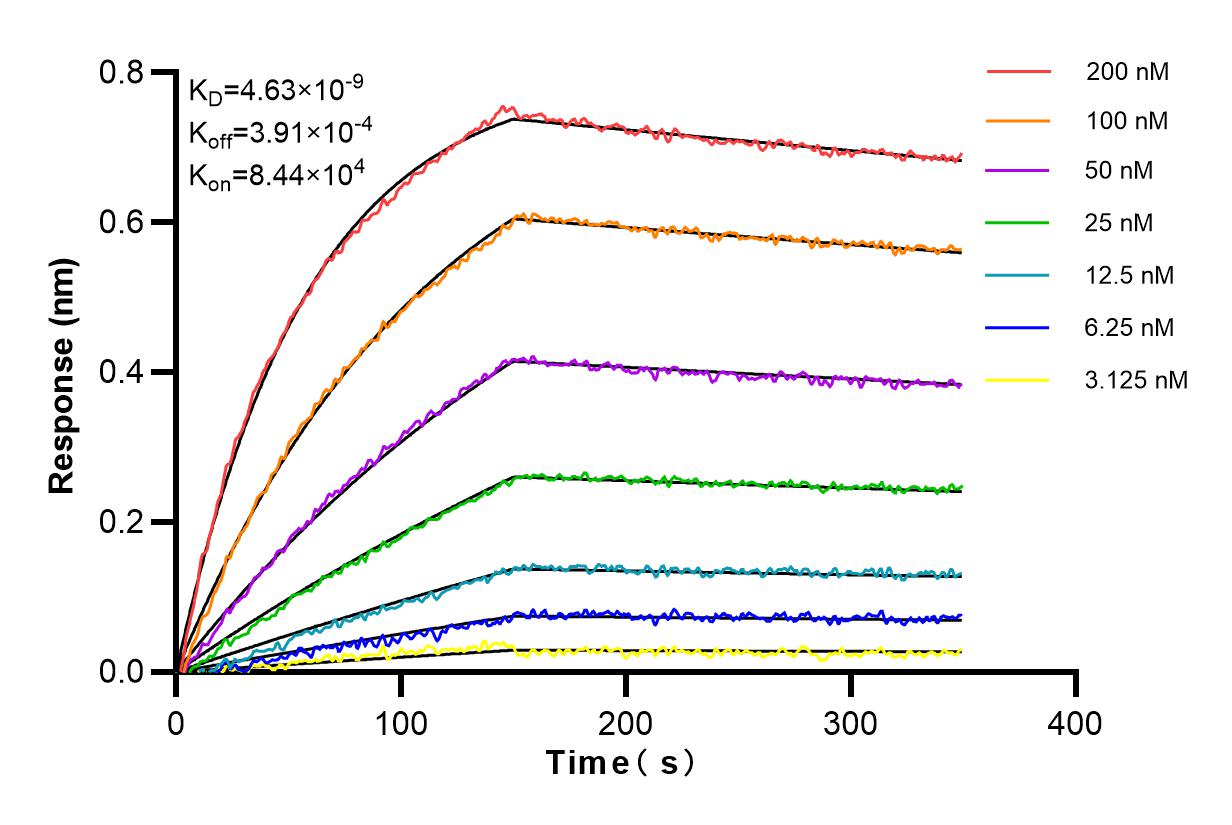 Affinity and Kinetic Characterization of 83264-6-RR