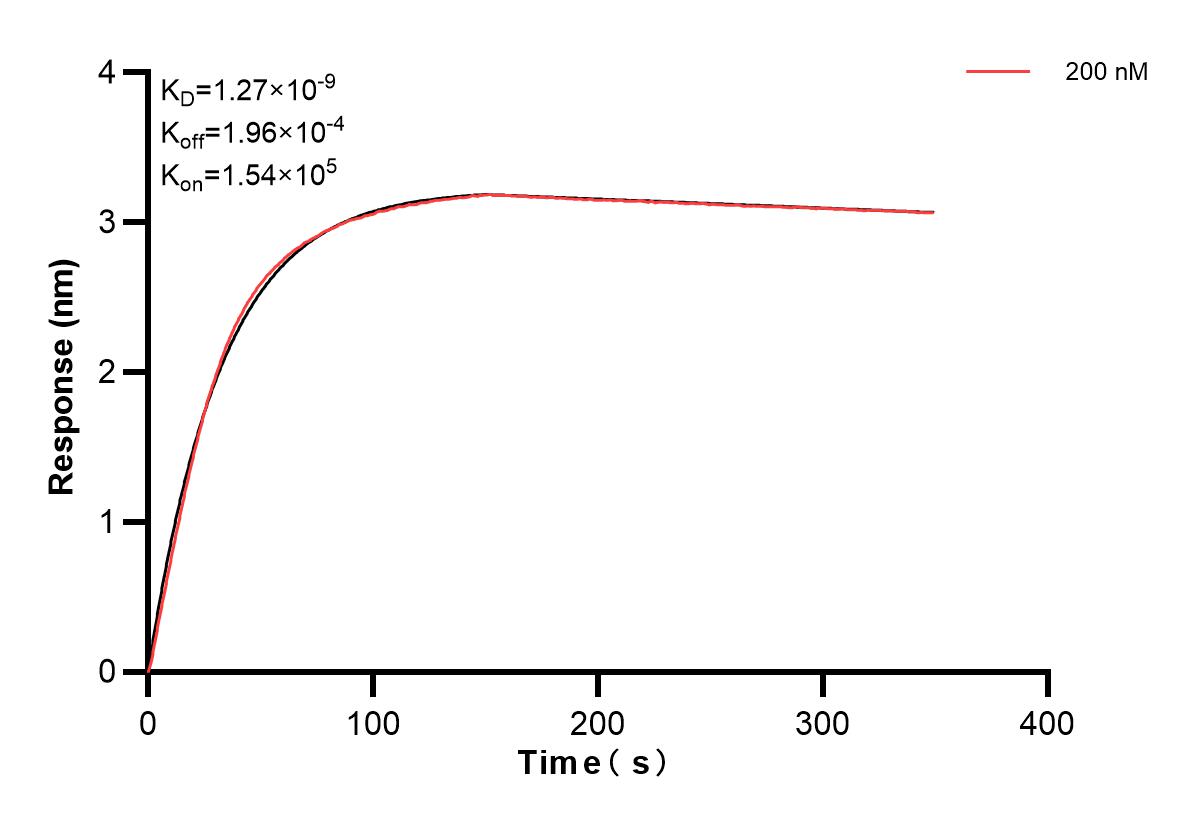 Affinity and Kinetic Characterization of 83282-5-PBS