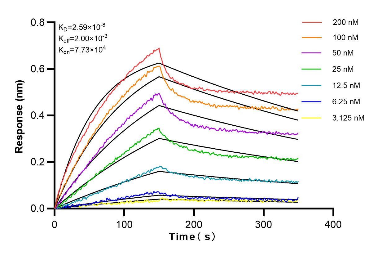 Affinity and Kinetic Characterization of 83292-5-PBS