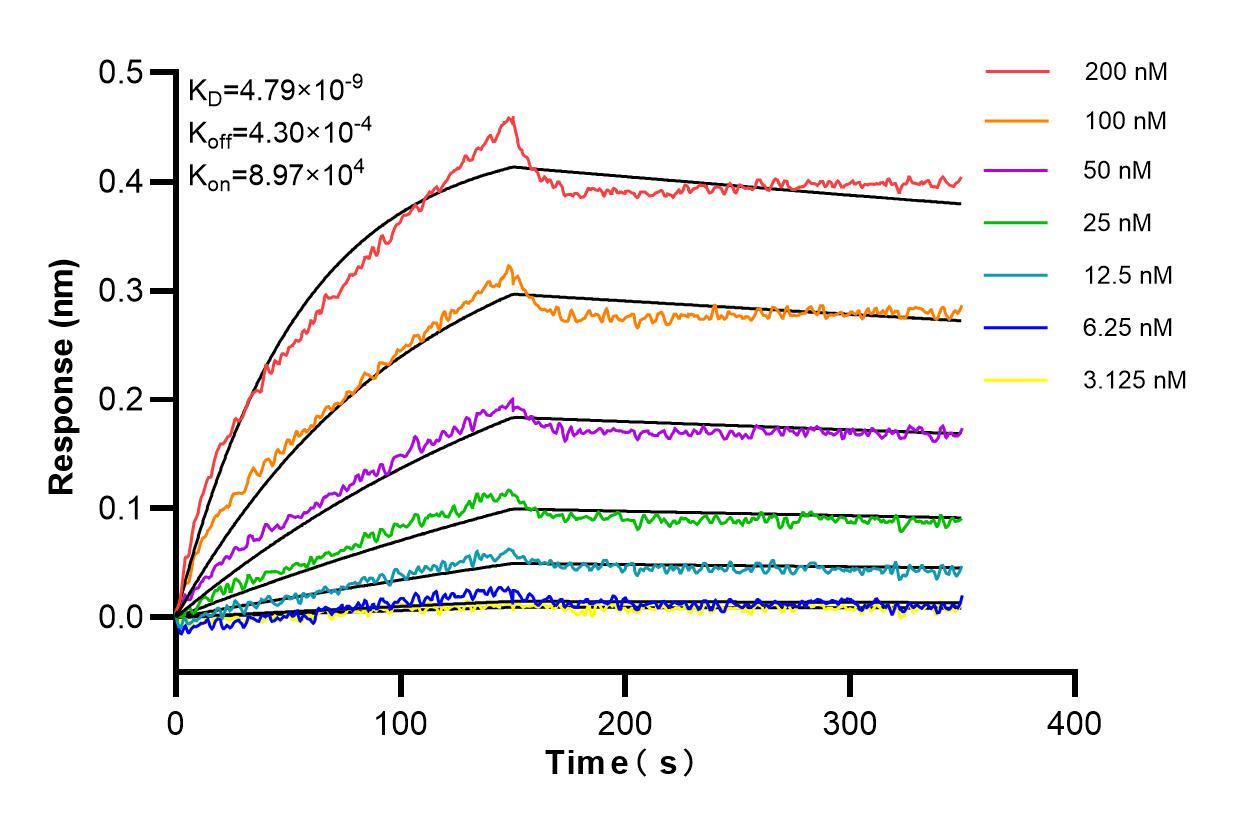 Affinity and Kinetic Characterization of 83292-5-RR