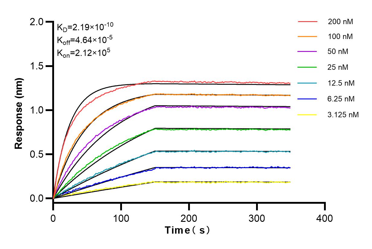 Affinity and Kinetic Characterization of 83297-8-RR