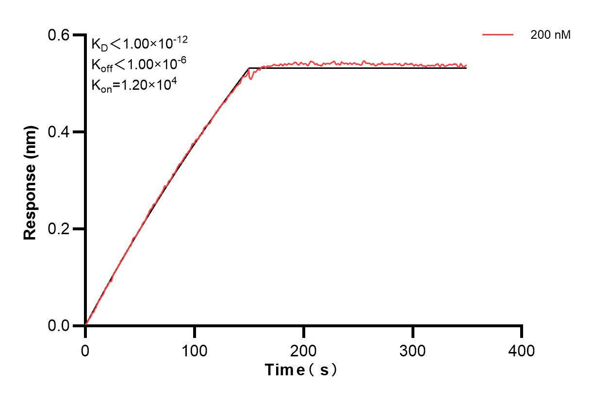 Affinity and Kinetic Characterization of 83299-1-PBS