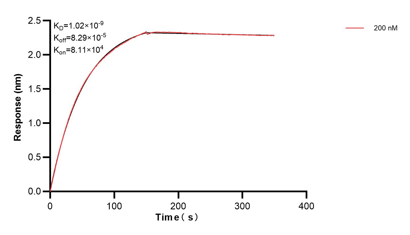 Affinity and Kinetic Characterization of 83299-2-PBS