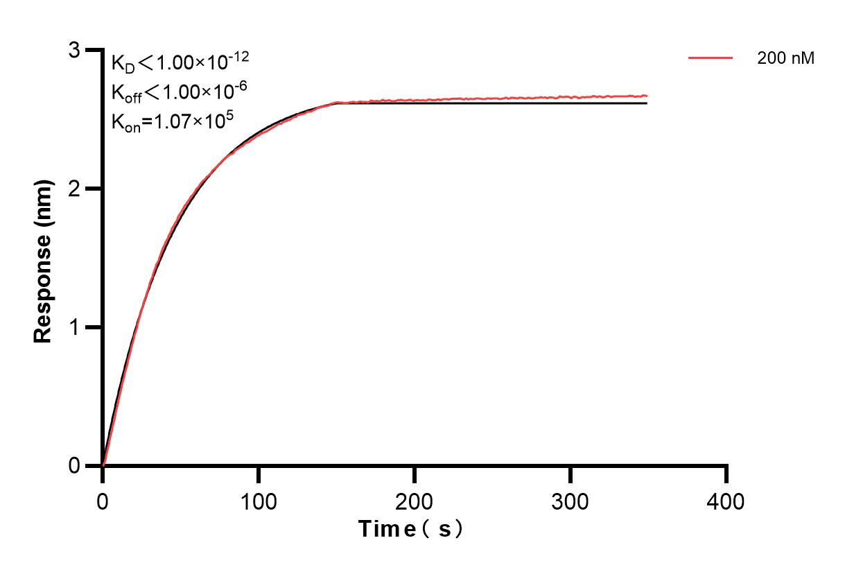 Affinity and Kinetic Characterization of 83305-5-PBS