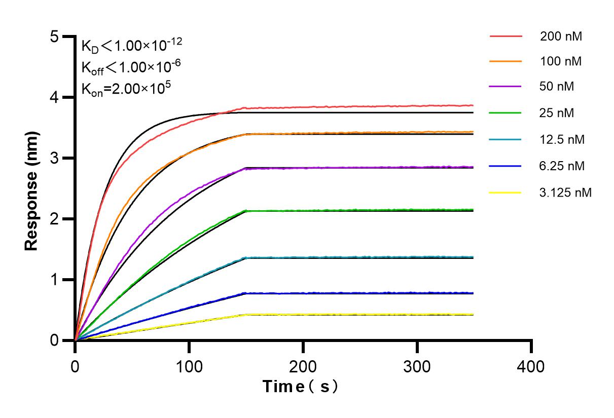 Affinity and Kinetic Characterization of 83305-6-RR