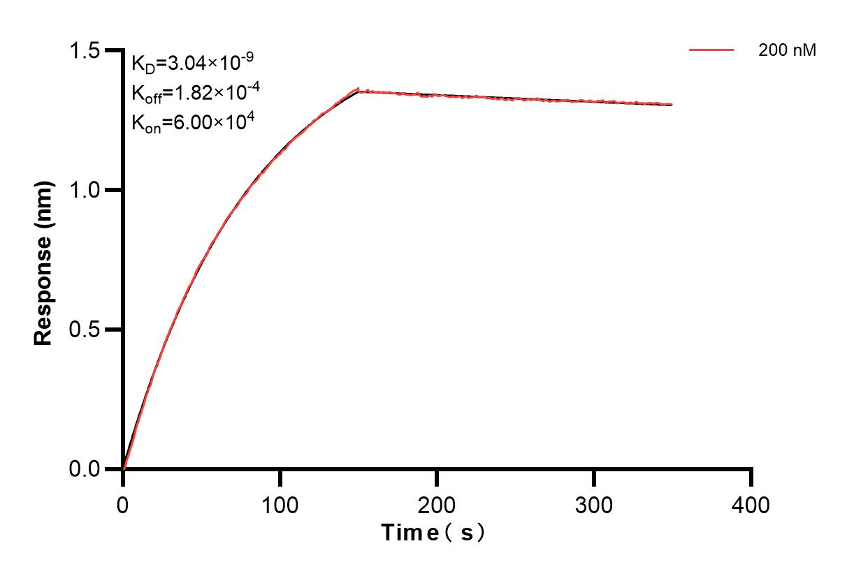 Affinity and Kinetic Characterization of 83309-1-PBS